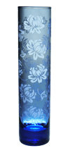 Blue Pareau